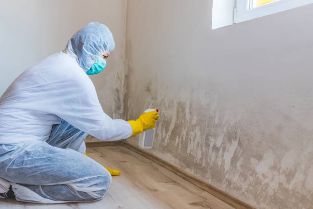 Crawl Space Mold Remediation treatment of floor joists in Young America